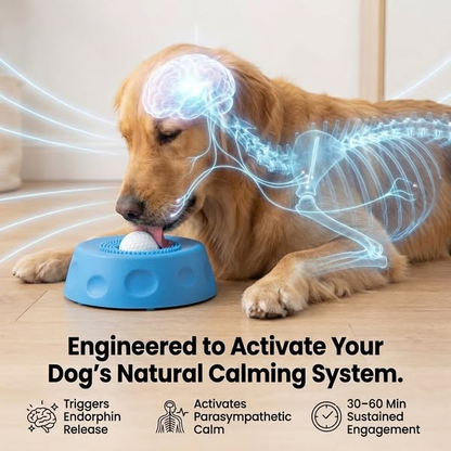 🎉 Congratulations! Add another 𝗥𝗘𝗕𝗬𝗜𝗣𝗢® Slow Feeder Dog Bowl and get 30% OFF your second item! 🐕‍🦺🔥