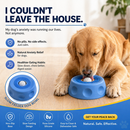 🎉 Congratulations! Add another 𝗥𝗘𝗕𝗬𝗜𝗣𝗢® Slow Feeder Dog Bowl and get 30% OFF your second item! 🐕‍🦺🔥